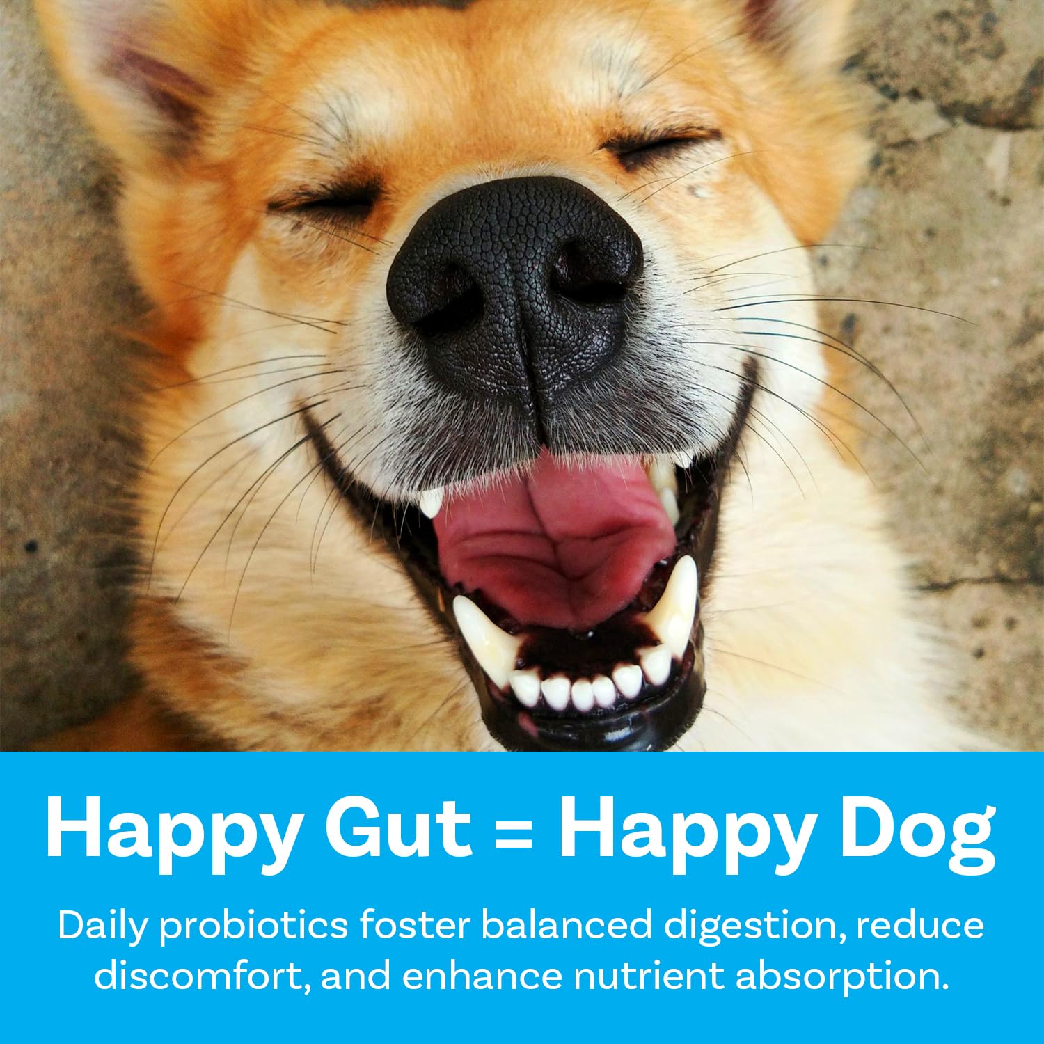 PawSafe&reg; Dog Probiotics Soft Chews for Picky Eaters - USA Made, 120 Count - Digestive & Gut Health, Diarrhea, Gas Relief, Allergy & Itchy Skin Support - Natural with Pumpkin - Honey Chicken Flavor - image 3