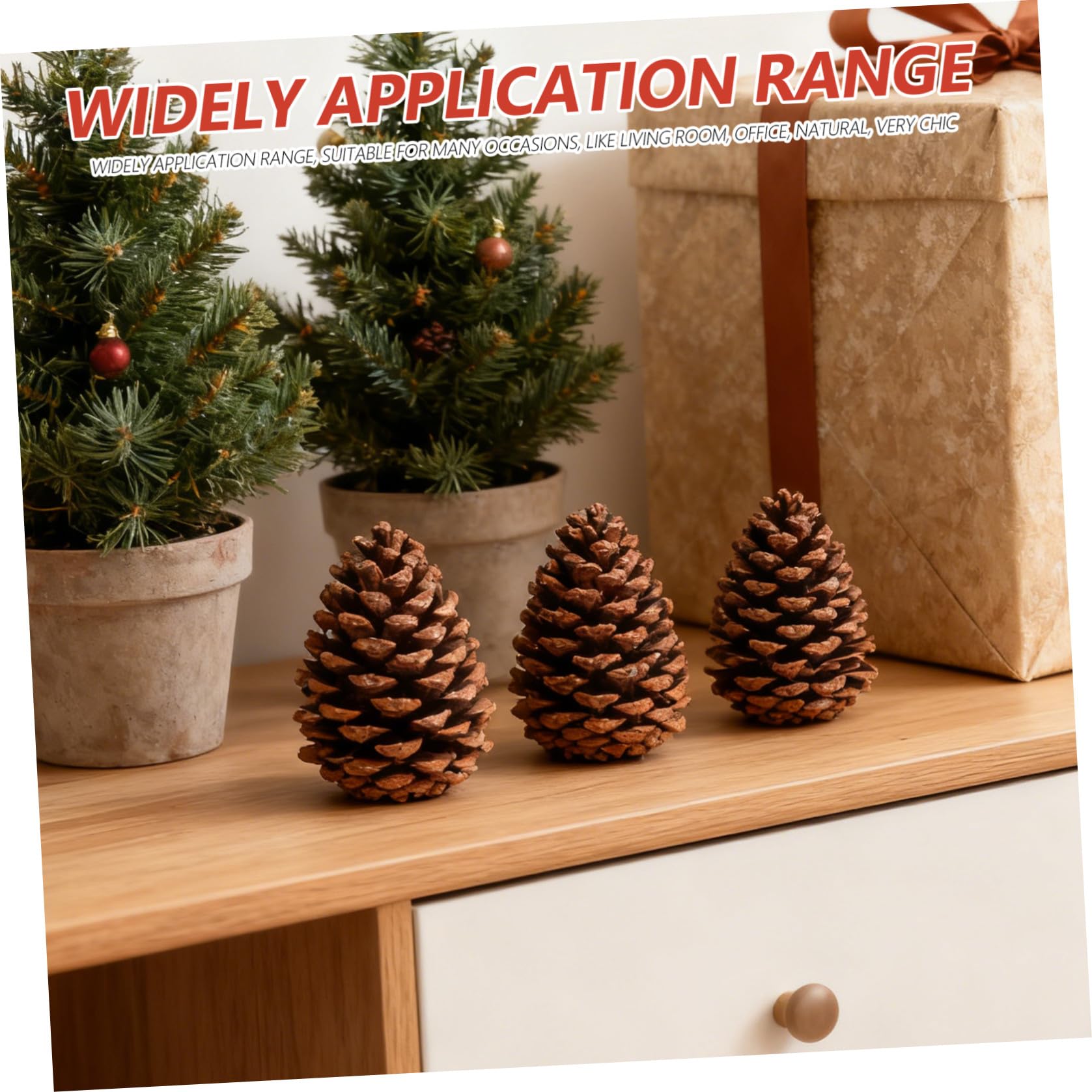 Kiefernzapfen Tannenzapfen 6 Stück Getrocknete Naturzapfen als Fotorequisite und Weihnachtsbaumschmuck für Handwerk und Deko