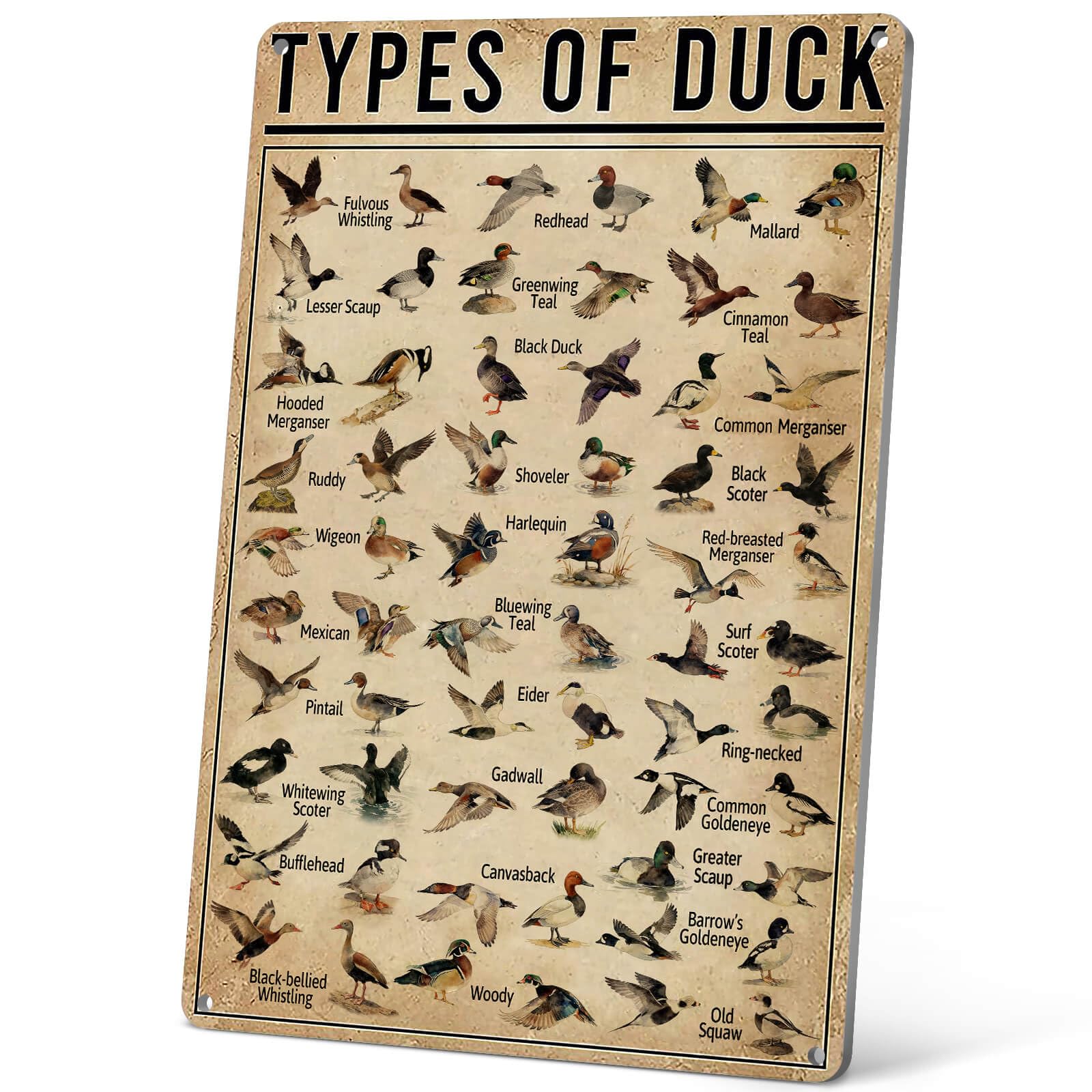 HYBLOM Duck Hunting Gifts For Men - Types Of Duck Metal Signs Vintage - Hunting Decor For Boys Room/Little Man Cave - Duck Hunting Accessories - Tin Sign 12X8 Inches