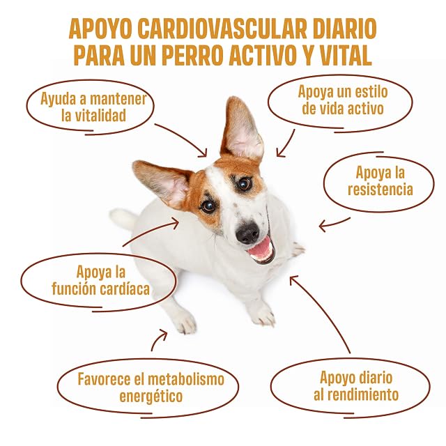 Foto 3 de 8 de ivvi Cardio 60 Snacks Blandos para Perros para la Salud Cardíaca con Pollo