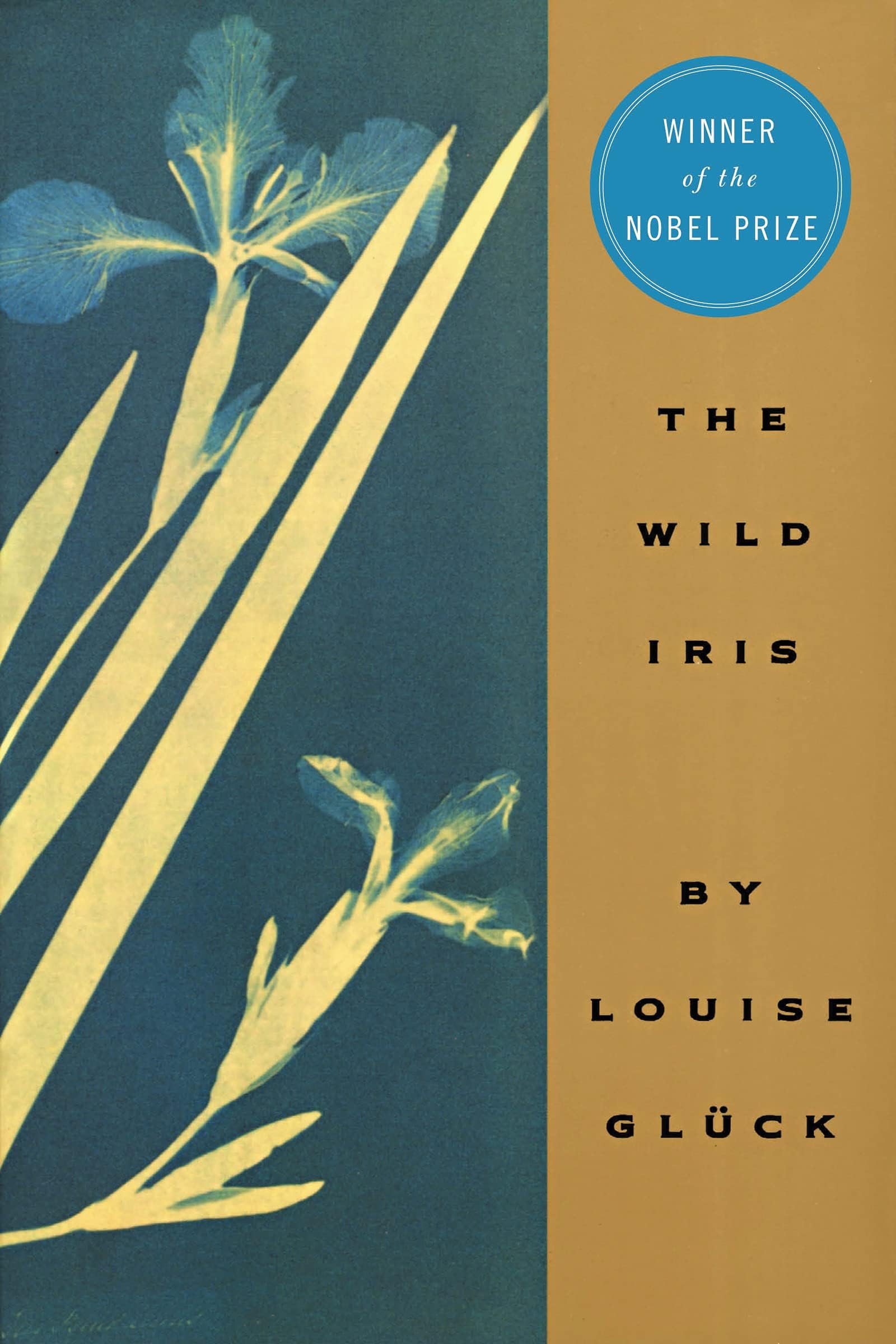 The Wild Iris Paperback – 1 November 1993