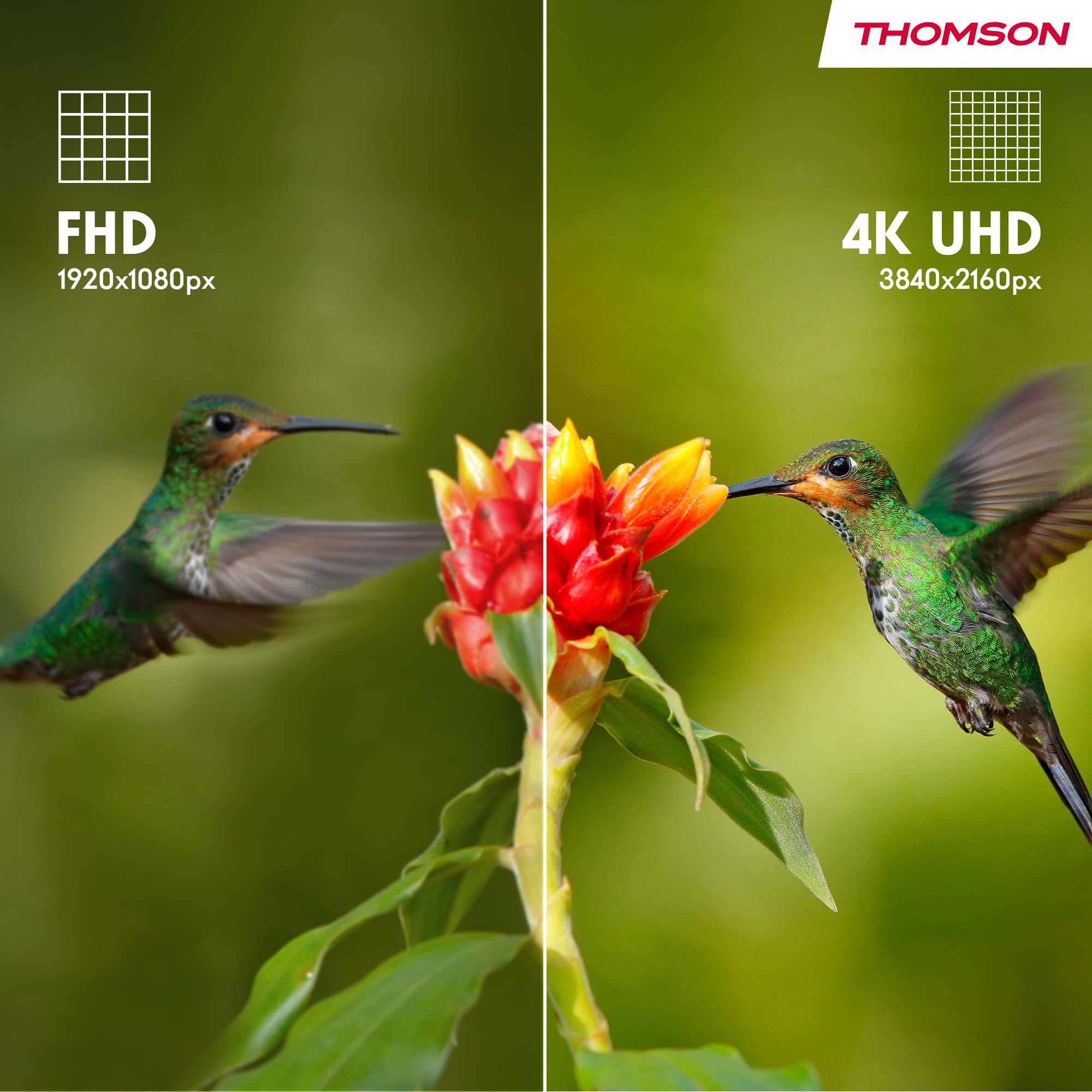 Thomson 55 Pollici (139cm) 4K Ultra HD Smart Google TV, Wi-Fi,Dolby Audio, HDR10, Bluetooth 5.1, Triple-Tuner (Cavo/Satellite/Antenna), HDMI, CI+, A+ Pannello - 55UG4S14