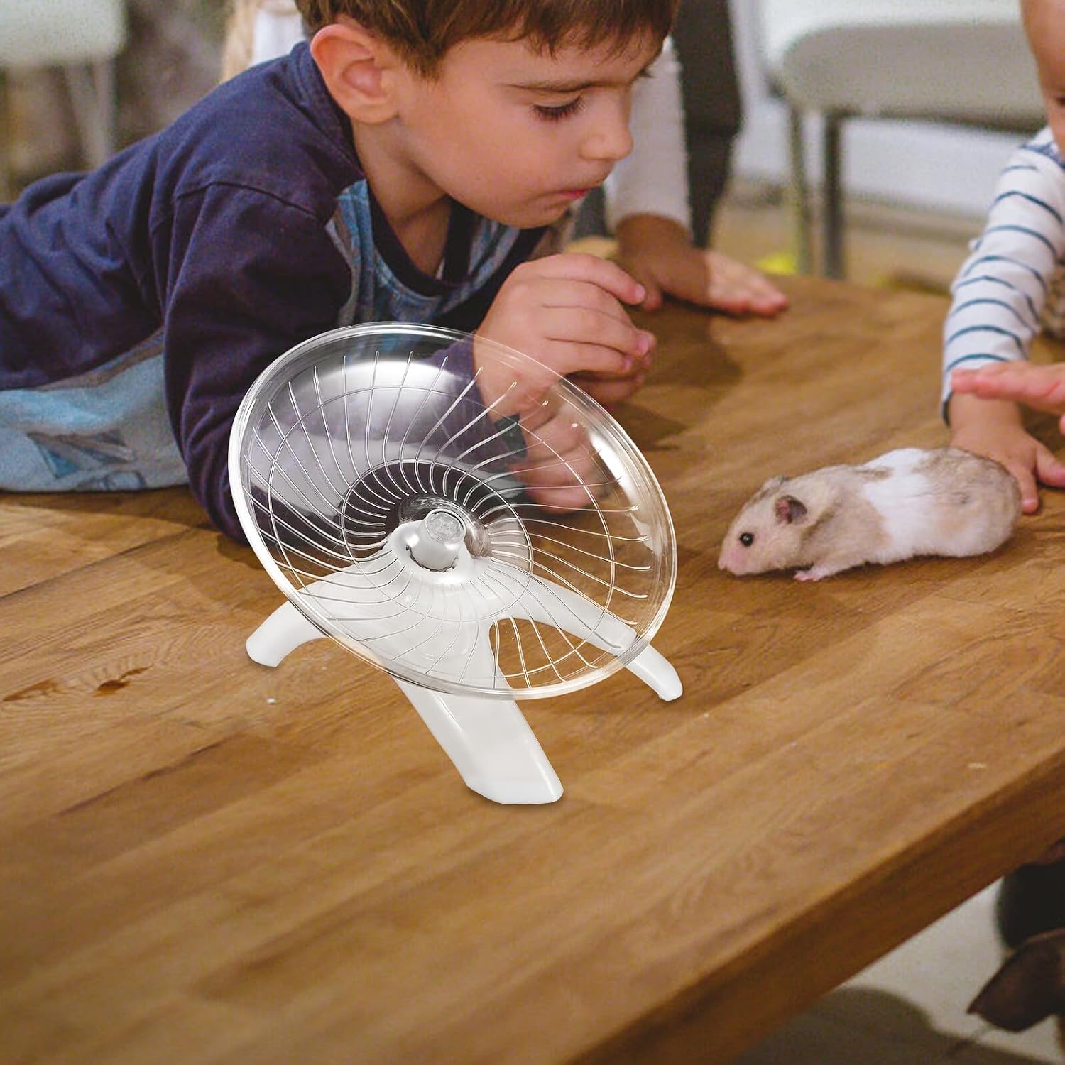 Silent Hamster Wheel and Chinchilla Running Wheel with Stand, White Exercise for Gerbils, Dwarf Hamsters, and Small Animals