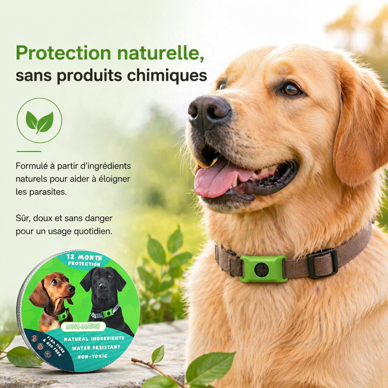 Pendentif Everly Chien - Nouveau Pendentif antiparasitaire Naturel pour Animaux 2026, Médaille de Collier Longue durée pour Une Protection Quotidienne, conçu pour Le Confort des promenades (Green)