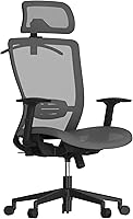 Vista 1 de FLEXISPOT Silla de oficina ergonómica, silla giratoria de malla con respaldo alto, sillas de escritorio de oficina ejecutiva, con soporte lumbar