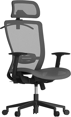 FLEXISPOT Silla de oficina ergonómica, silla giratoria de malla con respaldo alto, sillas de escritorio de oficina ejecutiva, con soporte lumbar