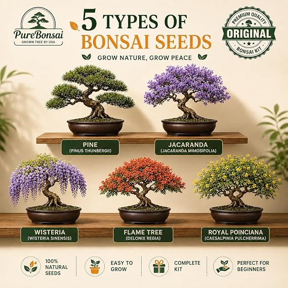Bonsai Tree Starter Kit for Beginners Complete Indoor Growing Kit with 5 Unique Japanese Bonsai Tree Seeds Pots & Gardening Tools DIY Gift for Adults