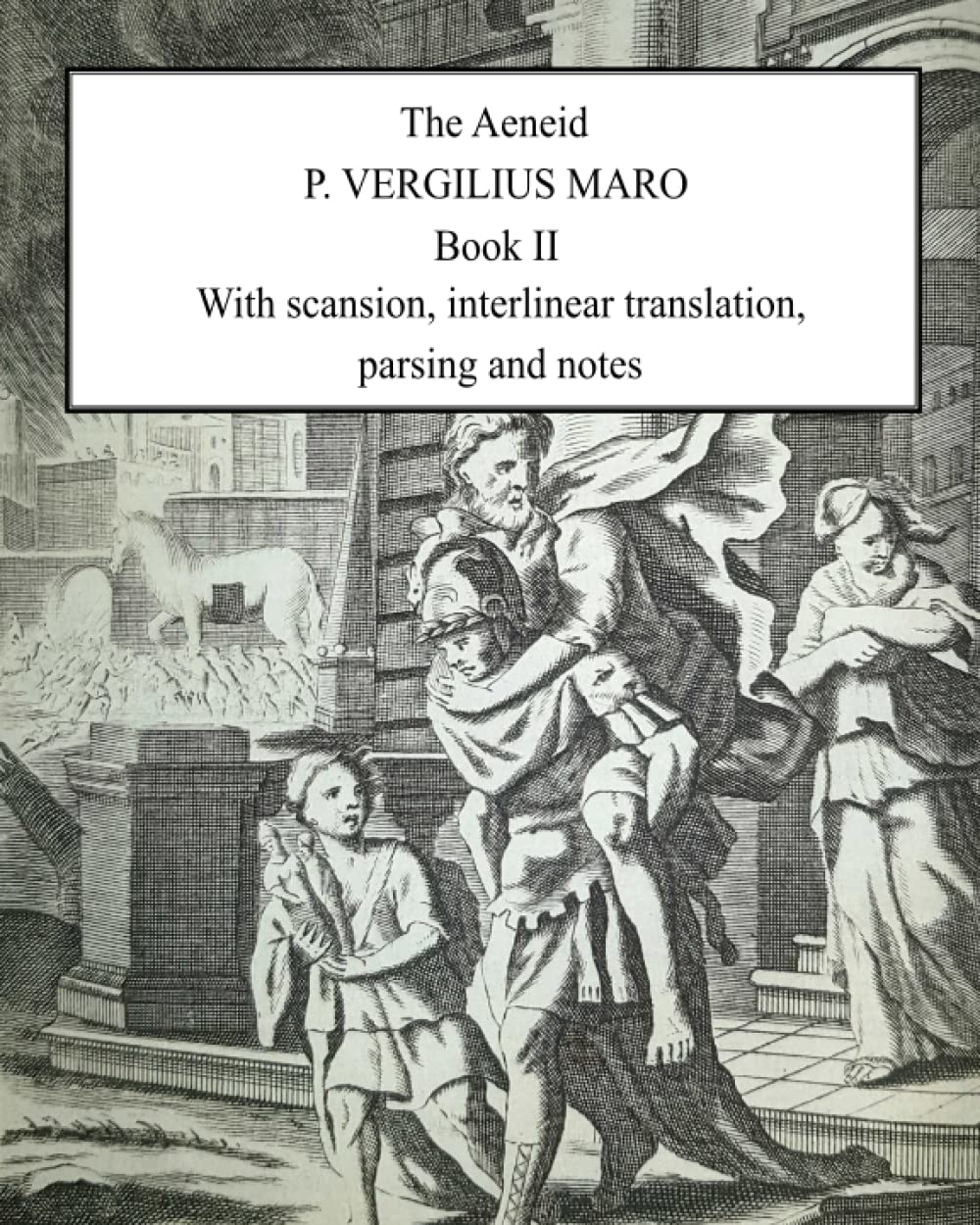 Aeneid Book 2: With scansion, interlinear translation, parsing and notes