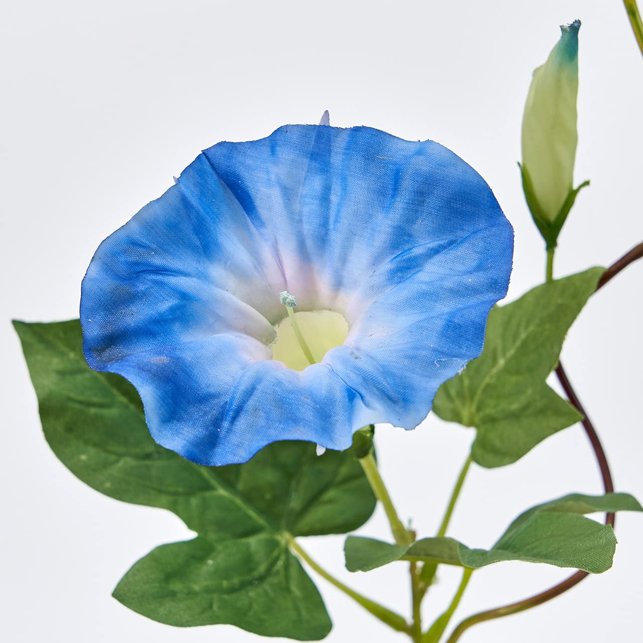 アサガオマーケット Amazon｜東京堂 造花 MAGIQ 江戸朝顔 ブルー 花径7×L35㎝ FM000203-105