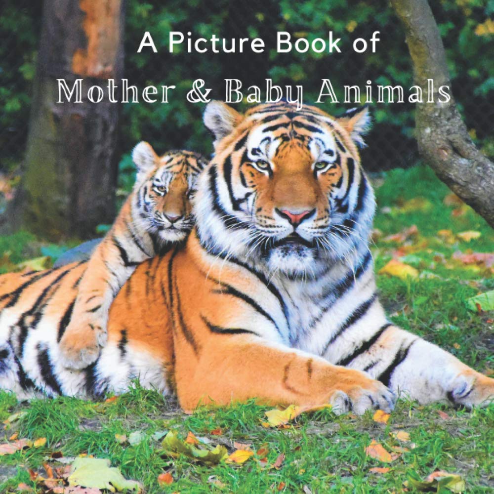A Picture Book of Mother & Baby Animals: A Beautiful Picture Book for Seniors With Alzheimer’s or Dementia. A Great Gift for Elderly Parents and
