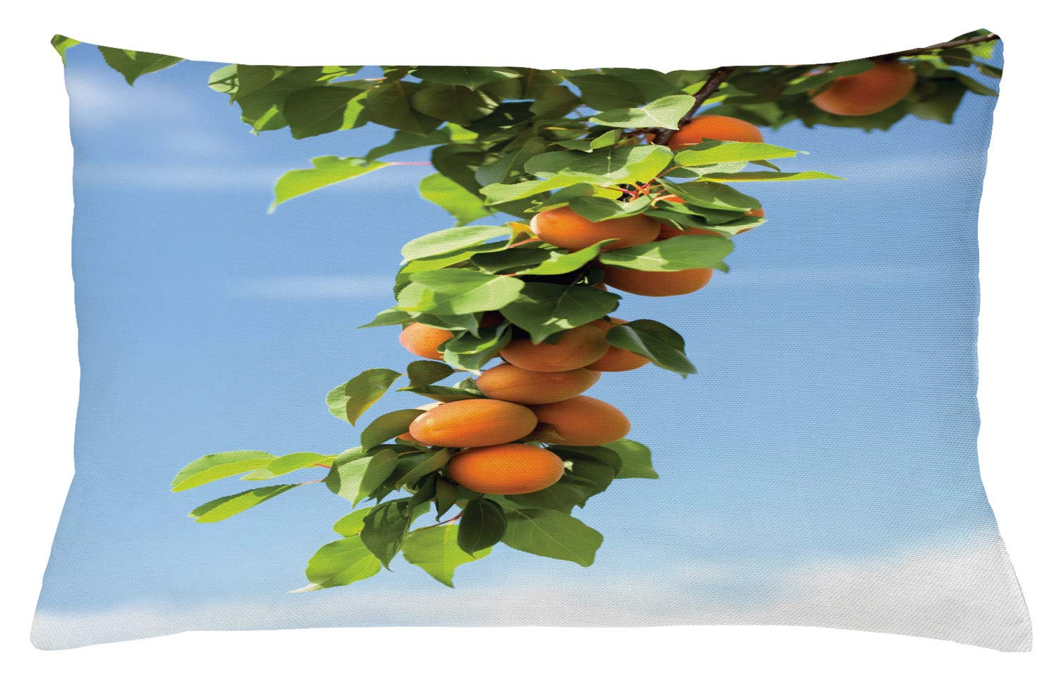 ABAKUHAUS Federa Per Cuscino 40x40 Cm – Iscrizione Del Mondo, Fodera Decorativa In Poliestere, Con Cerniera, Lavabile, Multicolore Albicocca