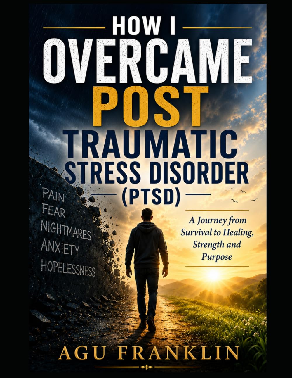 How I Overcame Post Traumatic Stress Disorder. (PTSD).