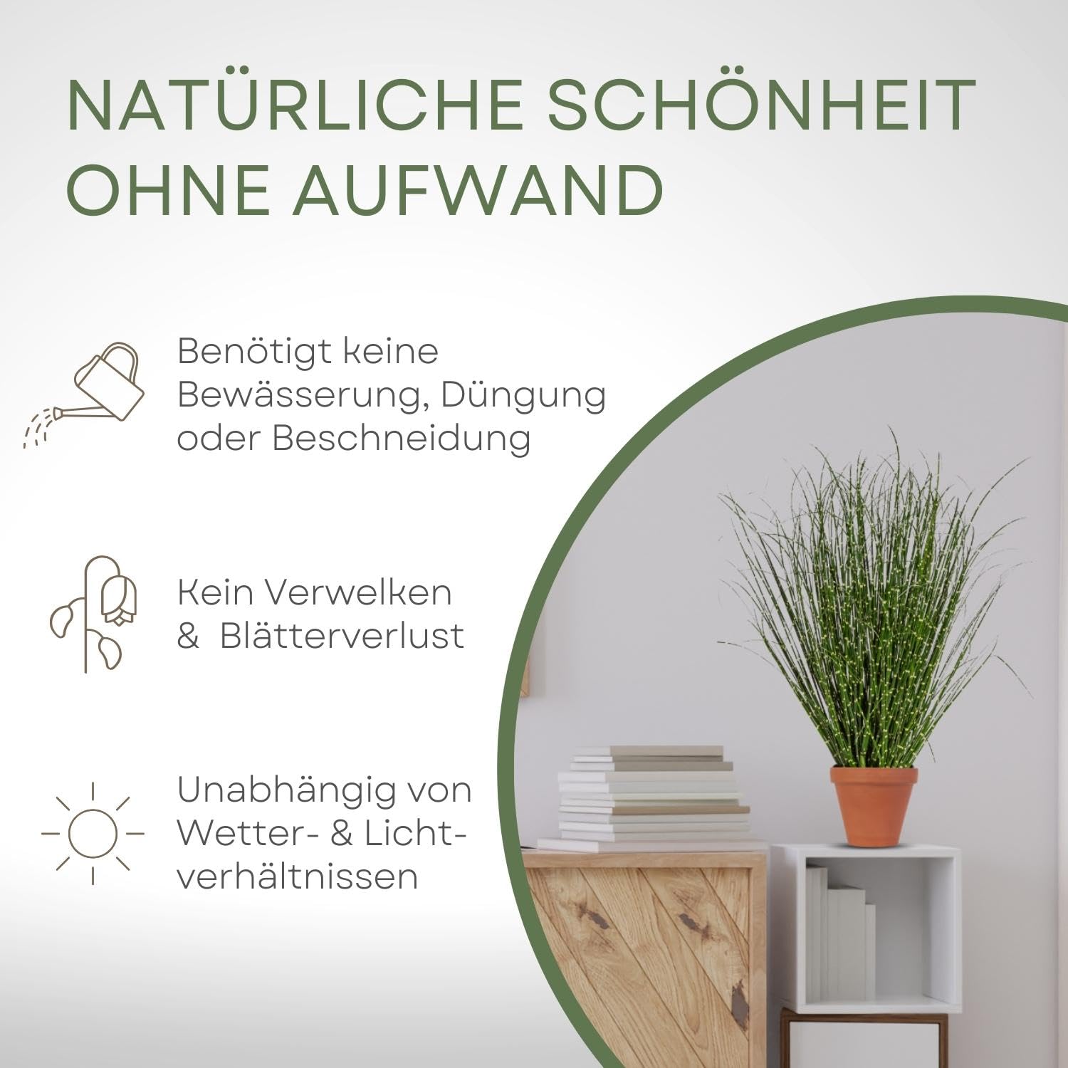 Amazon.de: CREATIV green Miscanthus Zebrinus Gras 80cm I Kunstgras mit  naturgetreuen Grsern in grn I realittsnahe Dekogras Kunstpflanze im Topf  I Pflegeleichte Grser knstlich ideal als Indoor Deko