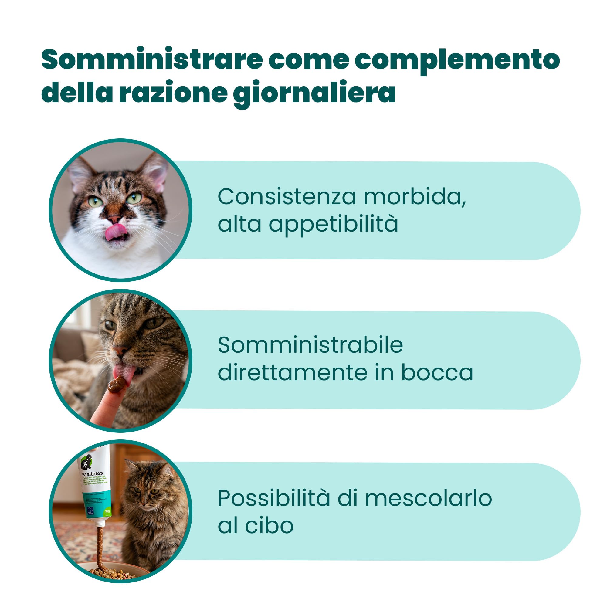 CAMON | Malto Fos, Alimento Complementare in Pasta, 50g, Supporto per Transito Intestinale e Boli di Pelo, per Gatti, Cani, Conigli e Furetti