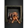 Product Photo 9
