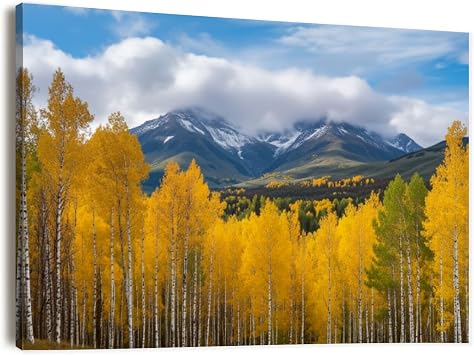 Canvas Wall Art Prints Kebler Pass Autumn Large Framed Artwork Wall Paintings Pictures Posters 24"x36" Home Decor for Living Room Office Bedroom