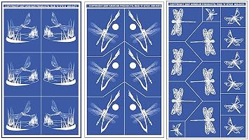 Armour Etch Designer Stencil Pak Dragonflies