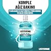 listerine, cool mint, daily oral care product, light taste, zero alcohol, mint flavored, 250ml