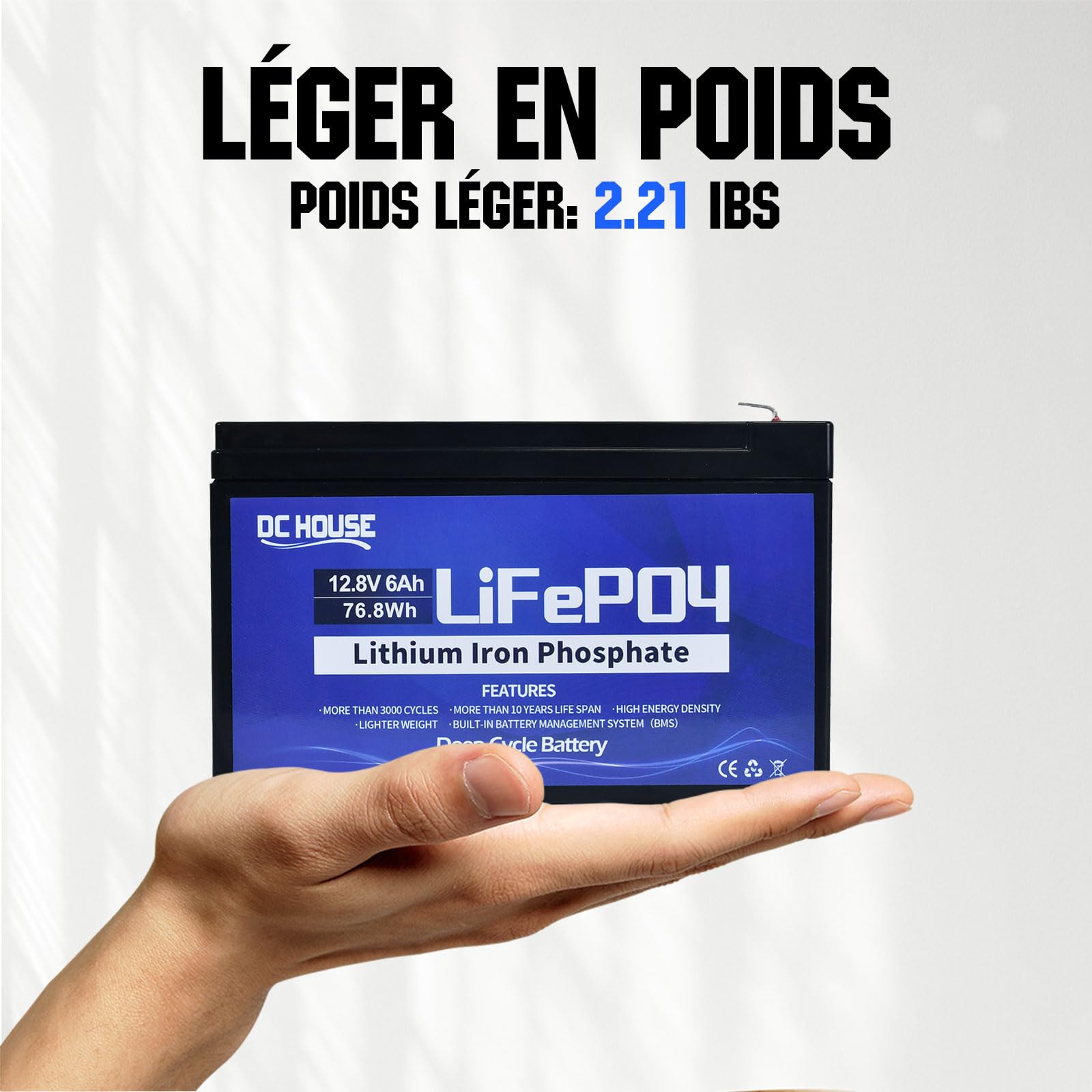 Batterie LiFePO4 12V 6Ah DCHOUSE - Lithium Rechargeable 3000 Cycles Pour Solaire Et Camping