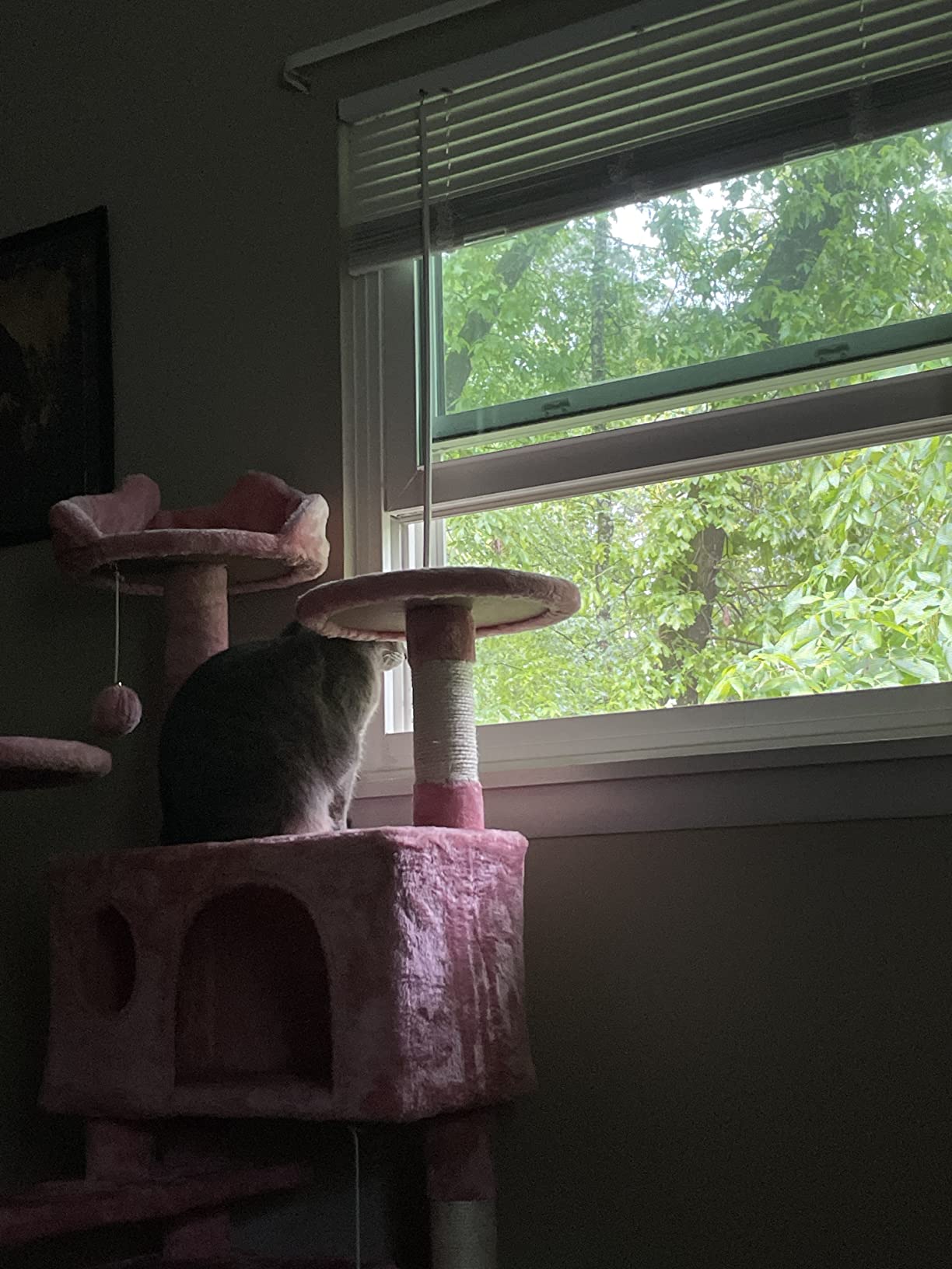 11/mo Finance Yaheetech 54in Cat Tree Tower Condo Furniture Scratch