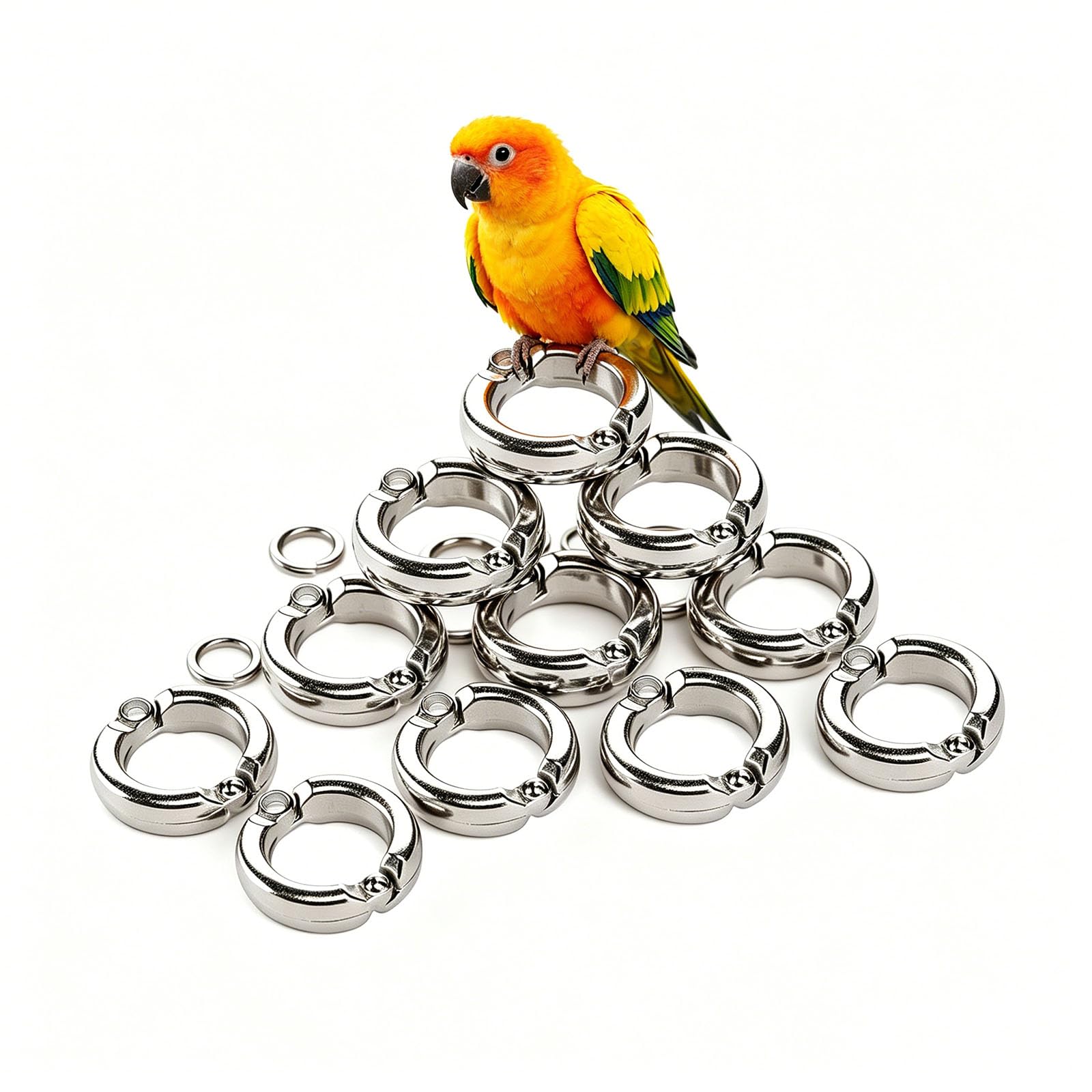 pájaro con las piernas cerradas, Tobilleras de aluminio con patas pájaro for identificación, actividad, vuelo seguro 4-15 mm 10-100 piezas(100 pieces,12mm)