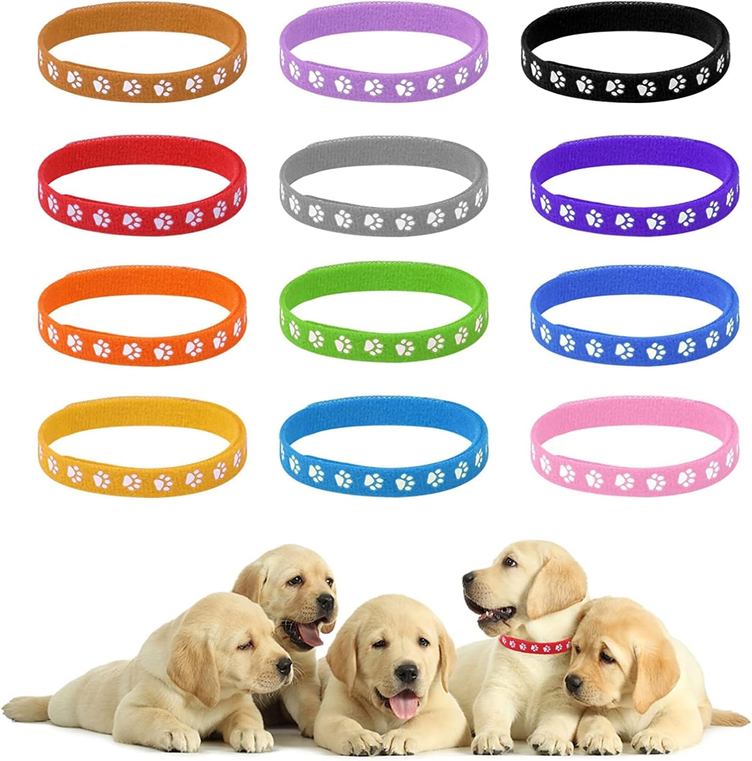 Collars, Adjustable Puppies ID Collars, multicolored Identification