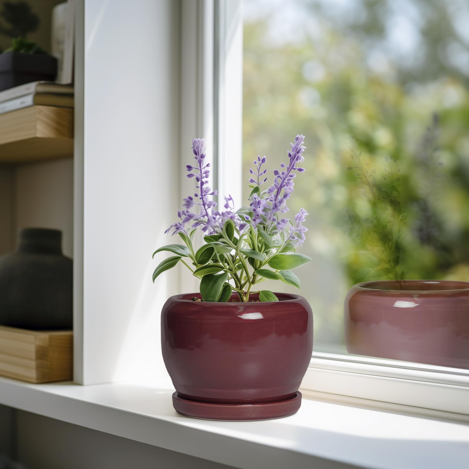 Amazon.co.jp: SQOWL 6インチ 植木鉢 - 屋内植物用セラミック