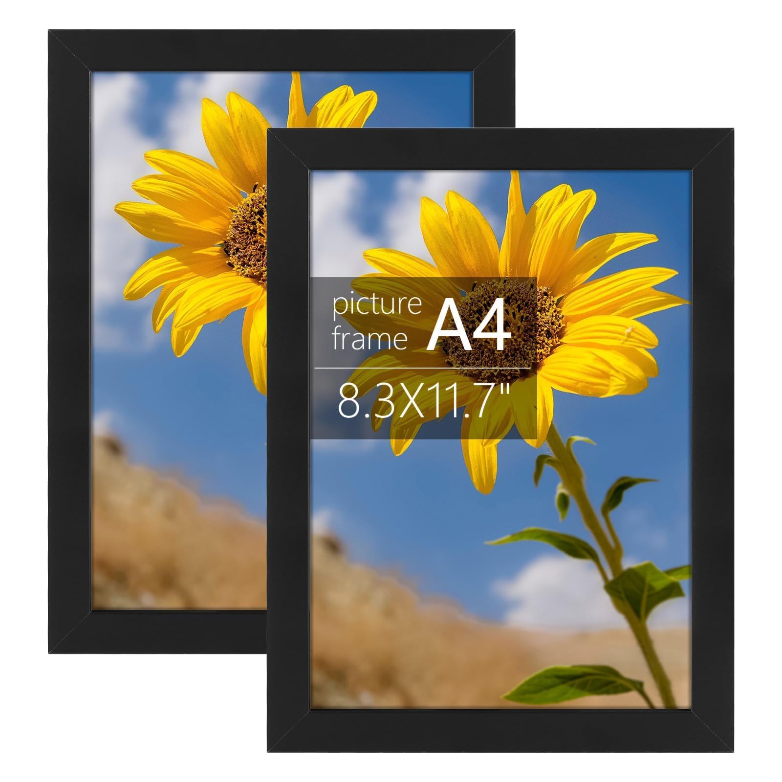 Golden State Art, A4 Picture Frame with Plexiglass, Engineered Wood 8.3 x 11.7 inch Frame - Horizontal and Vertical Display for Wall - Set of 2 (Black