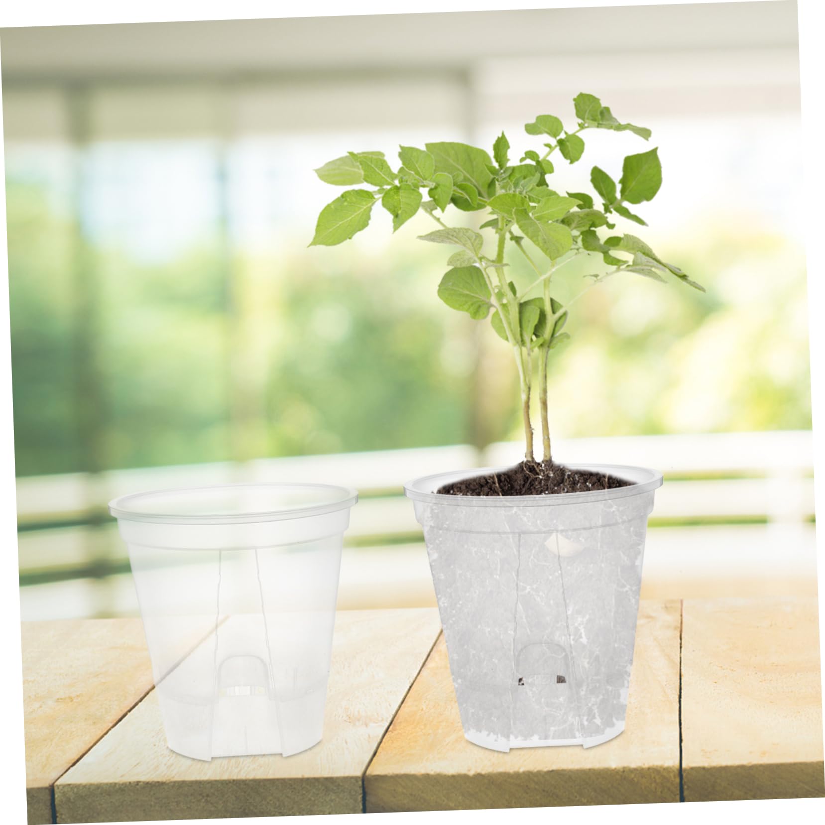 6pièces Pots à Orchidées Transparente avec Drainage Pots De Auto-arrosants pour Plantes Intérieur Bacs Plastique Respirants pour Et