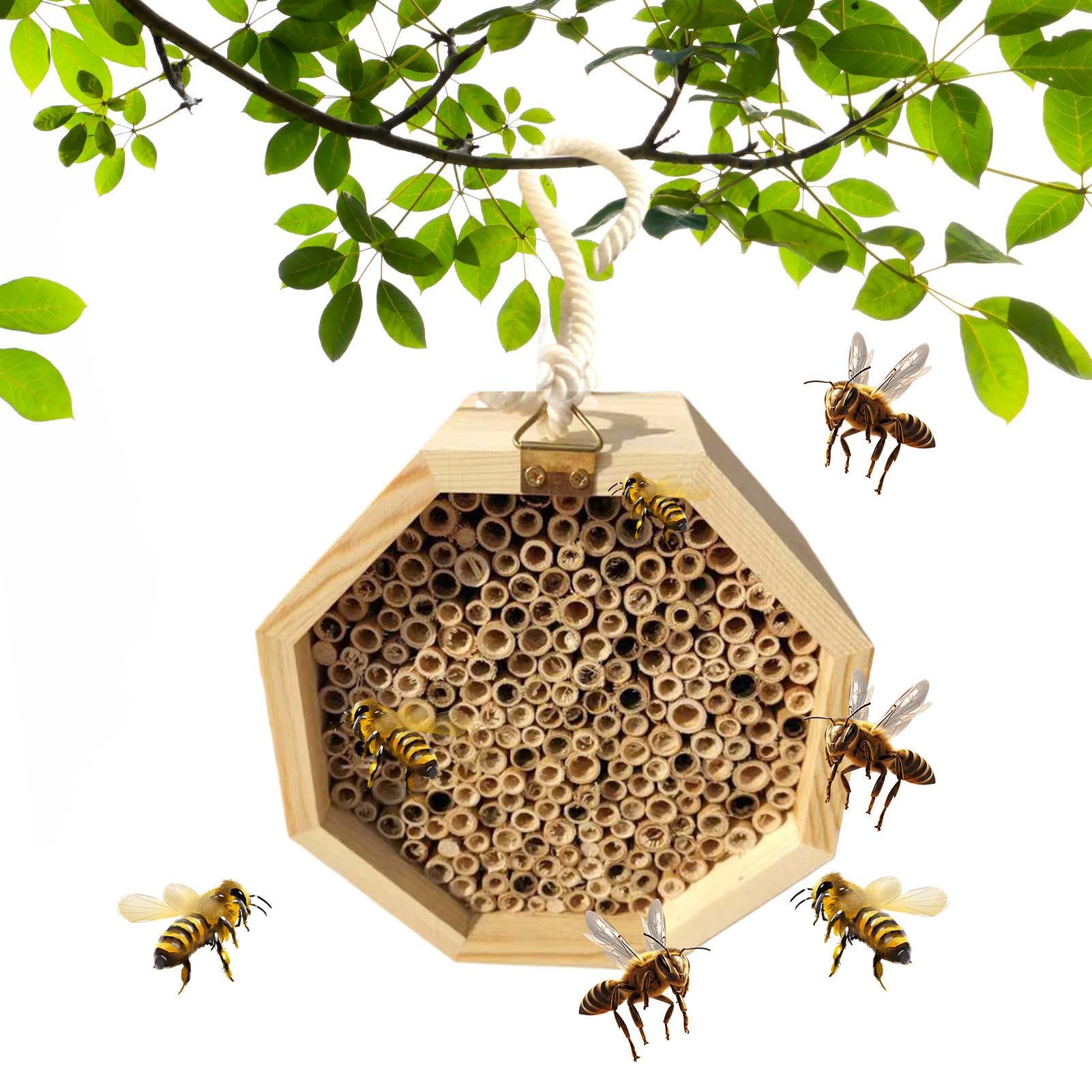 Hôtel en bois d'abeilles pour observer la nature en famille au jardin