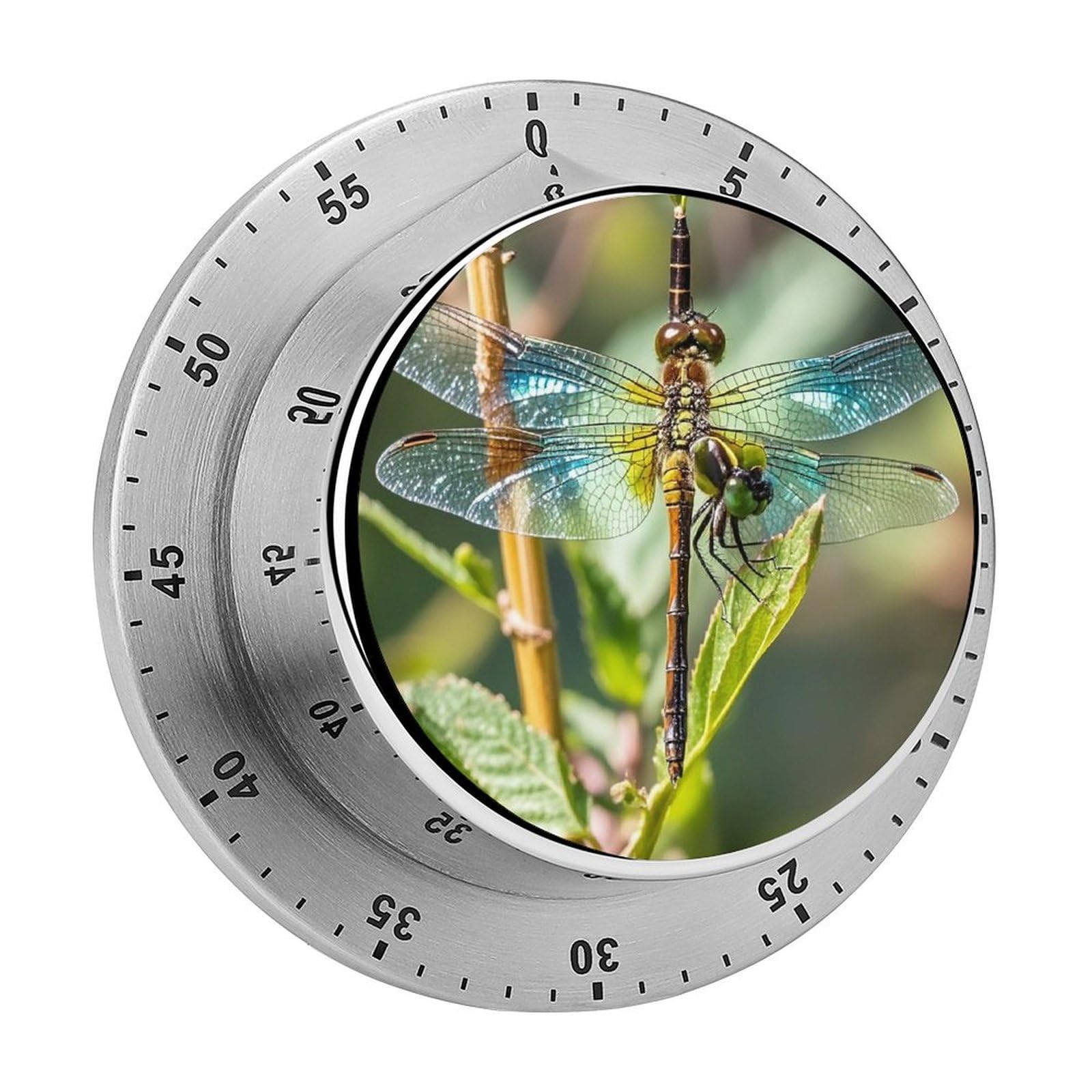 Colorful Dragonfly Timer Fashion Visual Timers Wind Up 60 Minutes Desk Timers Stainless Steel Magnetic Timer Countdown Clock No Batteries Loud Alarm for Kitchen Chef Cooking