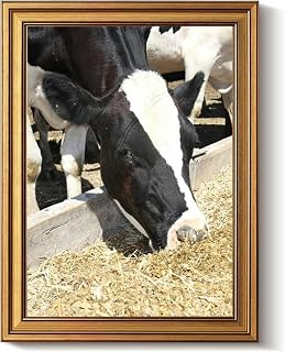 Vintage Gold Framed Wall Art Decor Retro Dairy cow eating feed from a trough Canvas Paintings Picture Poster Prints for Bathroom Living Room Bedroom Kitchen Artwork