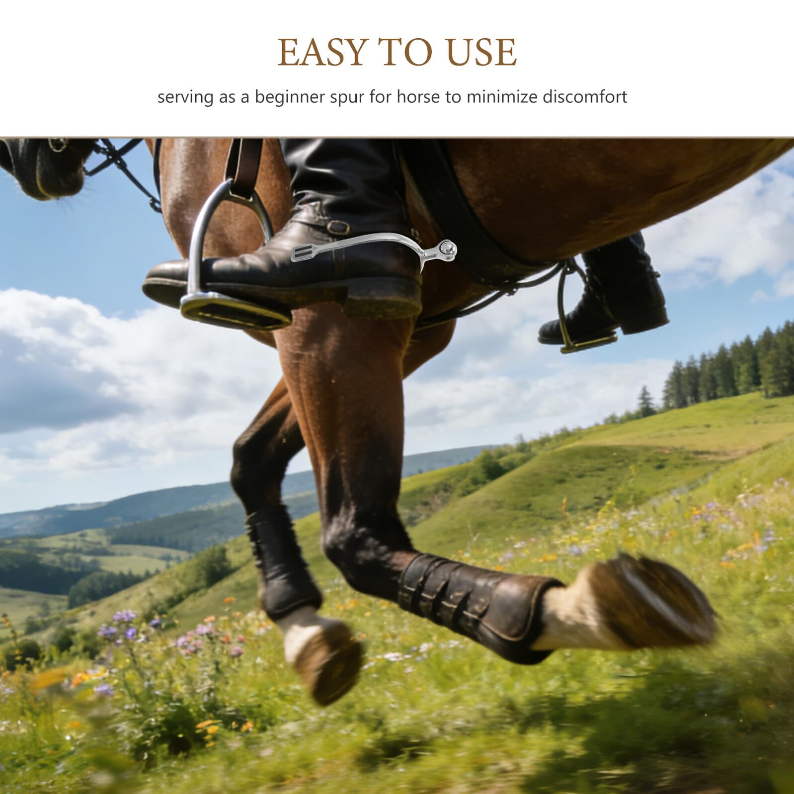 Abaodam Speroni Inglesi in Acciaio Inossidabile con Sfera Rotante per Equitazione Maschile – Accessorio Equestre Regolabile per Allenamento Cavalli e Utilizzo in Eventi Sportivi e Ranch
