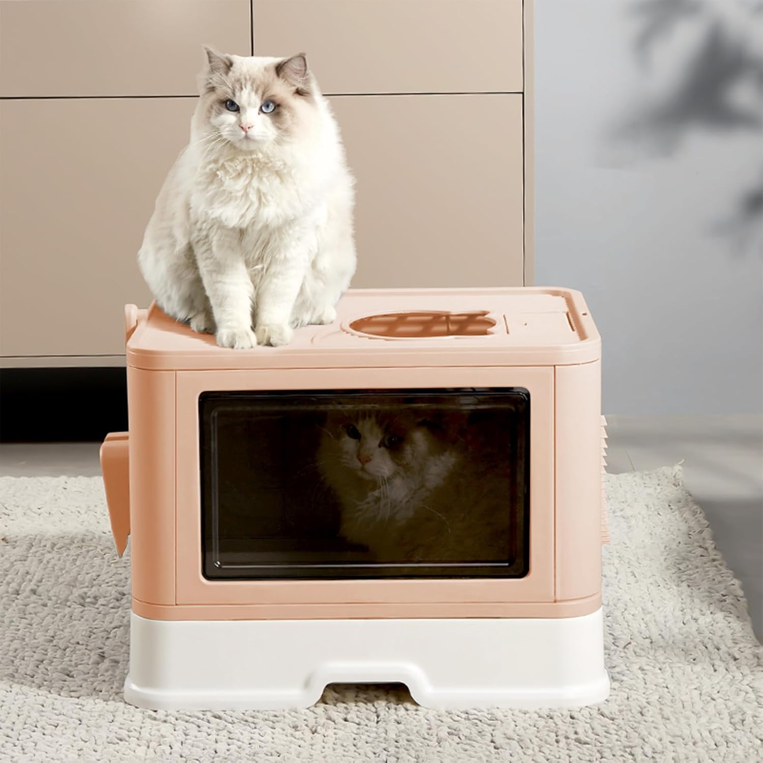 Foldable Enclosed Top Entry Cat Toilet - Extra Large Covered Cat Litter Box with Litter Brush and Scoop