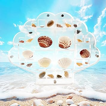 SNAIL GARDEN Acrylic Magnetic Sea Shell Display Box,Tiny Shell Display Case with Deeper Grids, 26 Grid Collector,4 Sizes Grids Seashell Organizer Box for Crystal,Jwellry