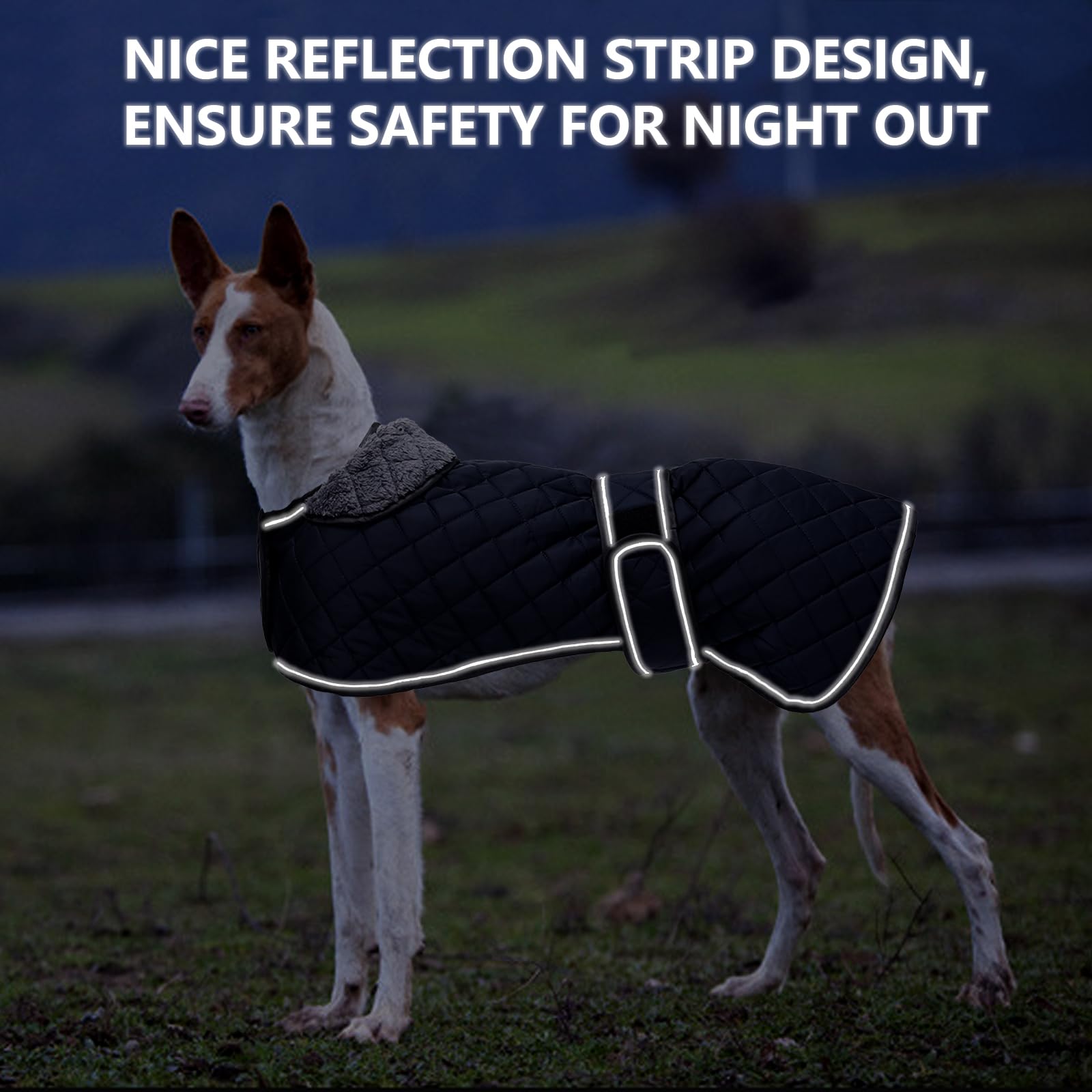 Dog Greyhound Waterproof Coat,Whippet Lurcher Coat,Dog Winter Jacket with Fleece Lining,Adjustable Outdoor Pet Apparel for Medium or Large Breed -Navy-S - Image 4