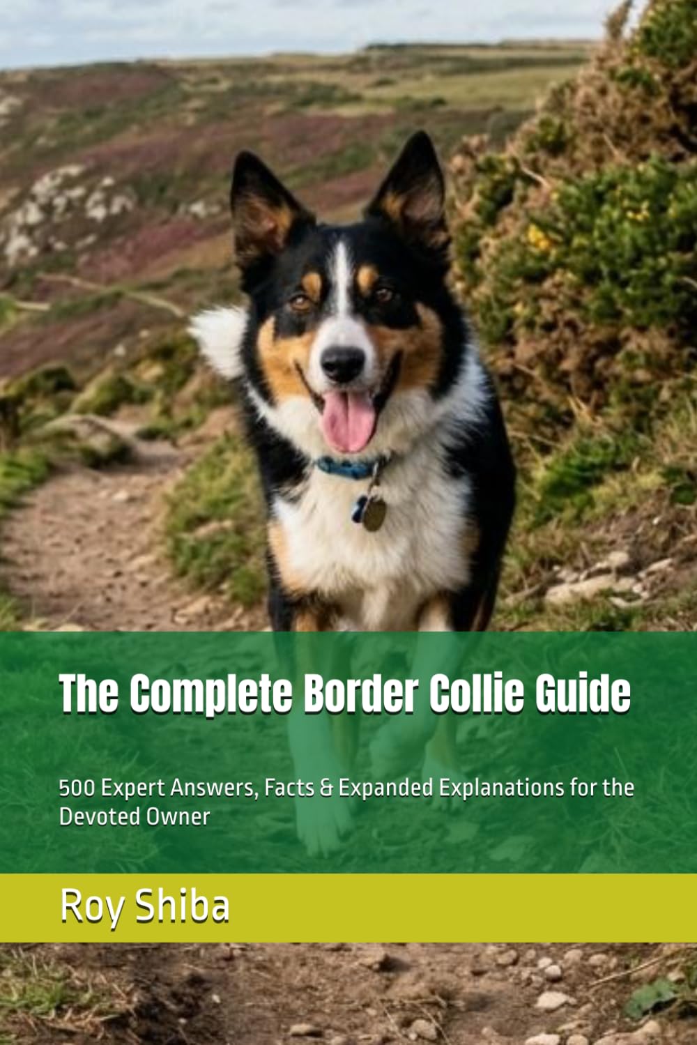 The Complete Border Collie Guide: 500 Expert Answers, Facts & Expanded Explanations for the Devoted Owner (The Complete Dog Guide Series)