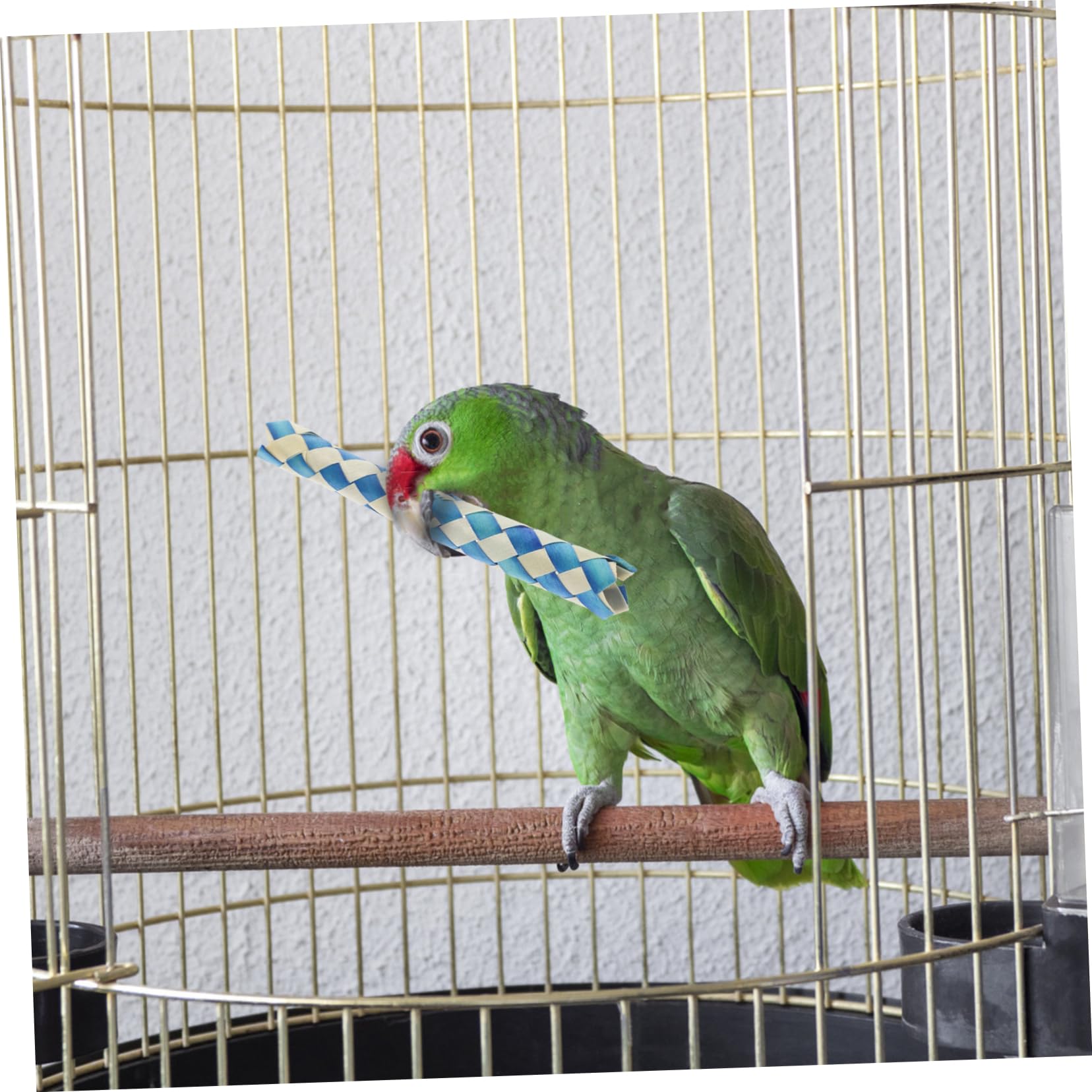 24pièces Jouet pour Oiseaux Accessoires De Fête Anniversaire Remplissage De Et De pour Oiseaux Jouets à Mâcher pour Perruches Et Perroquets Aléatoires