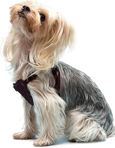 Arnés para perro, arnés sin tirones para perros pequeños, chaleco acolchado suave ajustable para perro, chaleco Oxford reflectante sin