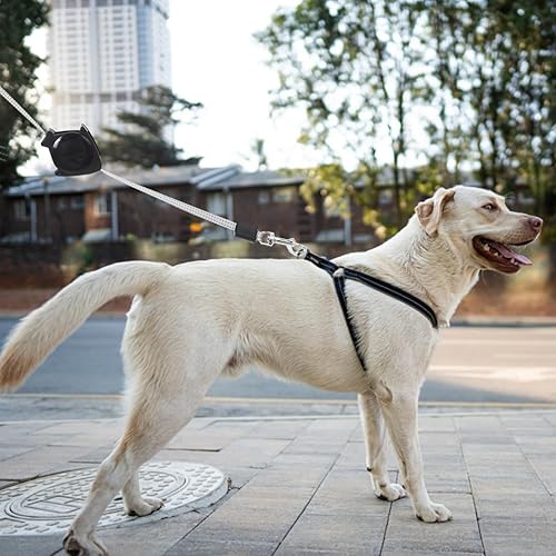 Miniatura 5 de Correa retráctil para perro, correa para caminar para perros, correa telescópica de tracción para correr, trotar, senderismo, 4.6 ft (negro)