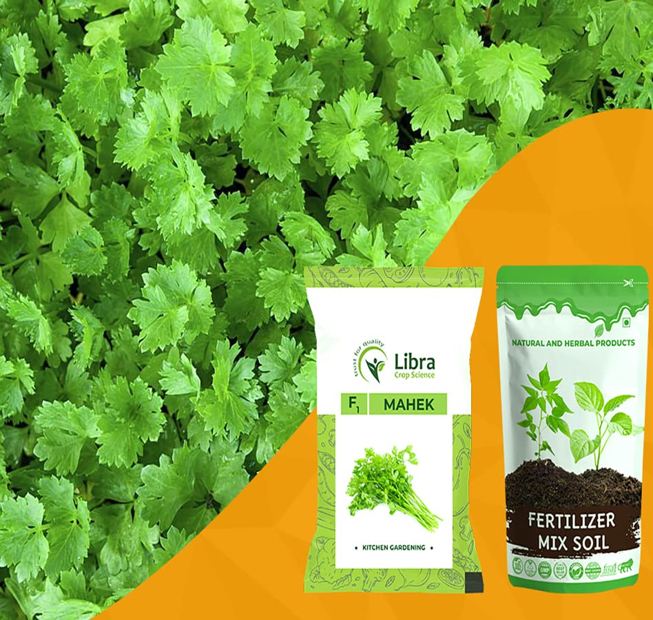Vegetable Seeds | Coriander | Farming | Home | Garden | Kitchen | Hybrid | Planting | Terrace | Balcony | Eating | Dhania | Cilantro | Kothmir | Mahek - 30 Gram : 5598 Seed (B0B2K3JVQ4) Amazon Price History, Amazon Price Tracker