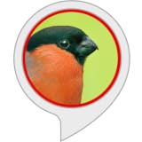  Gartenvögel
