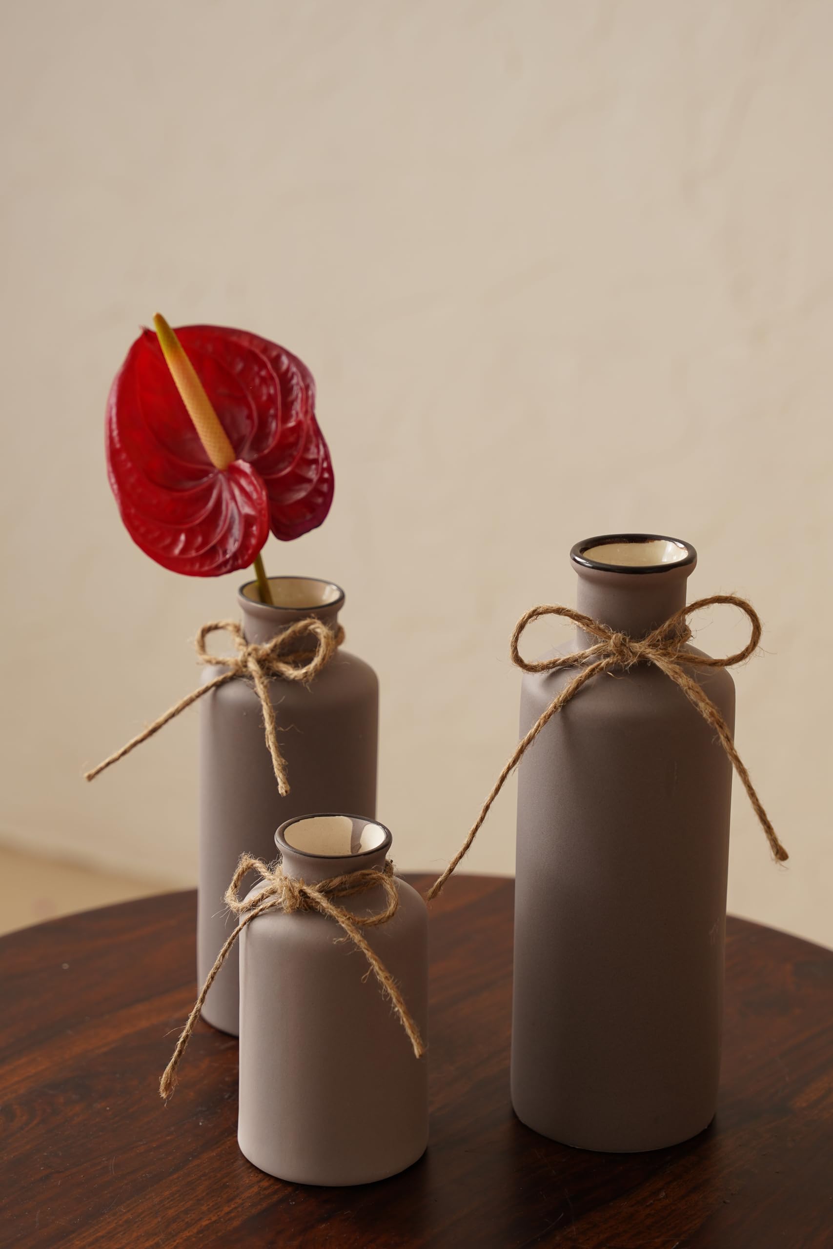 PUREZENTO Vintage Roman Bottle Vase 3Pcs Ceramic Vases, Rustic Beautiful Decorative Flower Vases Set for Modern Farmhouse Decoration, Living Room, Table, Bookshelf, Mantel and Entryway Decor (Purple) (B0DGD9NRZ2) Amazon Price History, Amazon Price Tracker