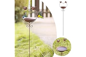 Heart Shaped Bird Feeder Stake - Adorn Your Garden with Avian Elegance