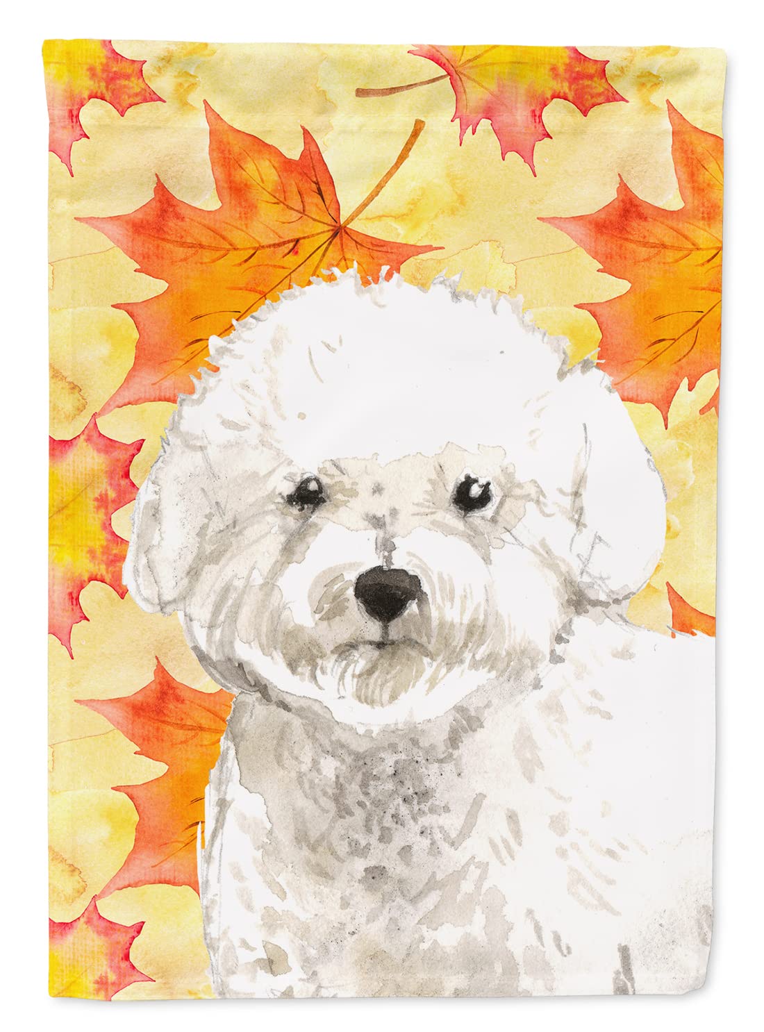 Drapeau Bichon Frisé en toile de qualité premium grande taille pour pavillon d'automne