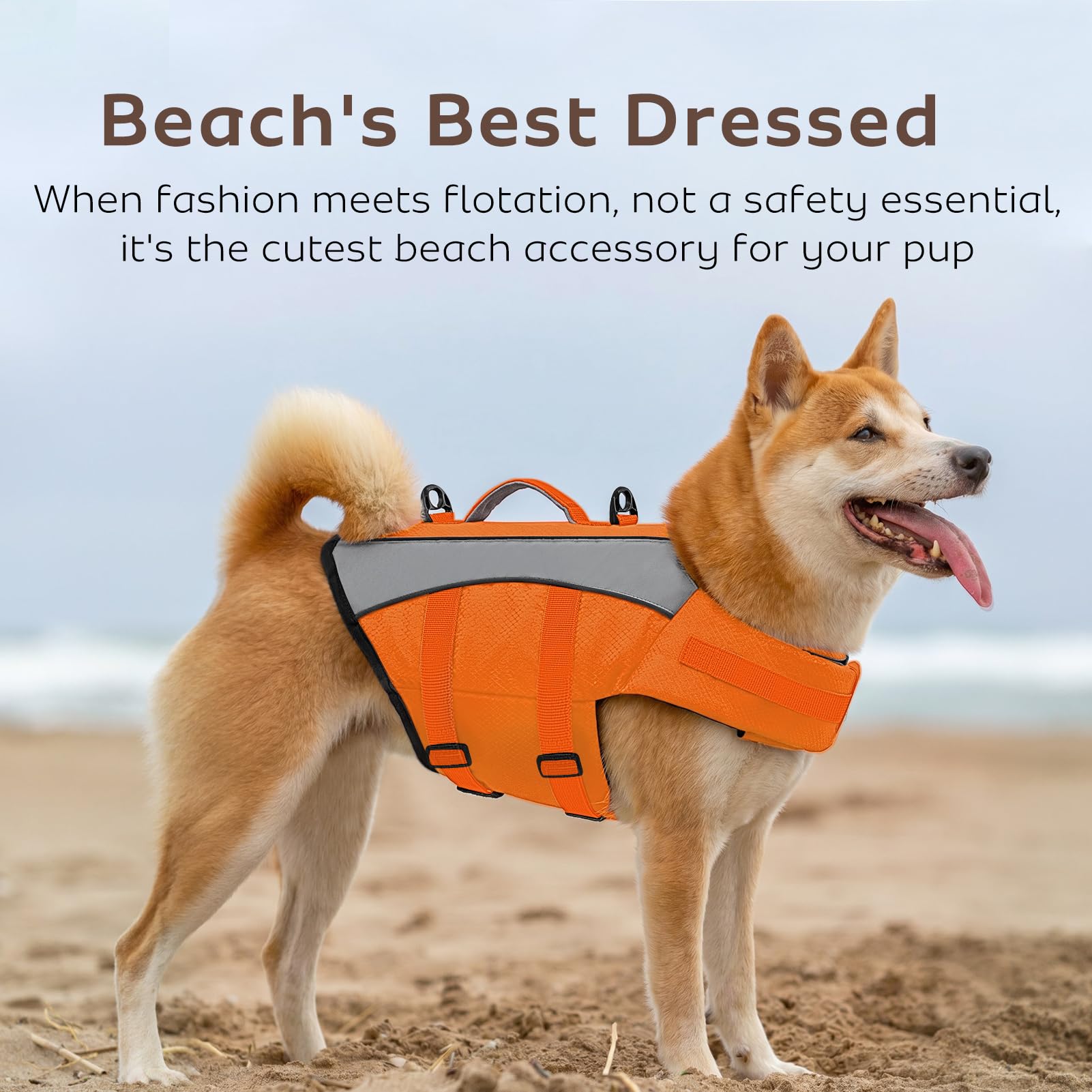 CITÉTOILE Gilet de Sauvetage Chien Veste Flottante Réfléchissante Orange S