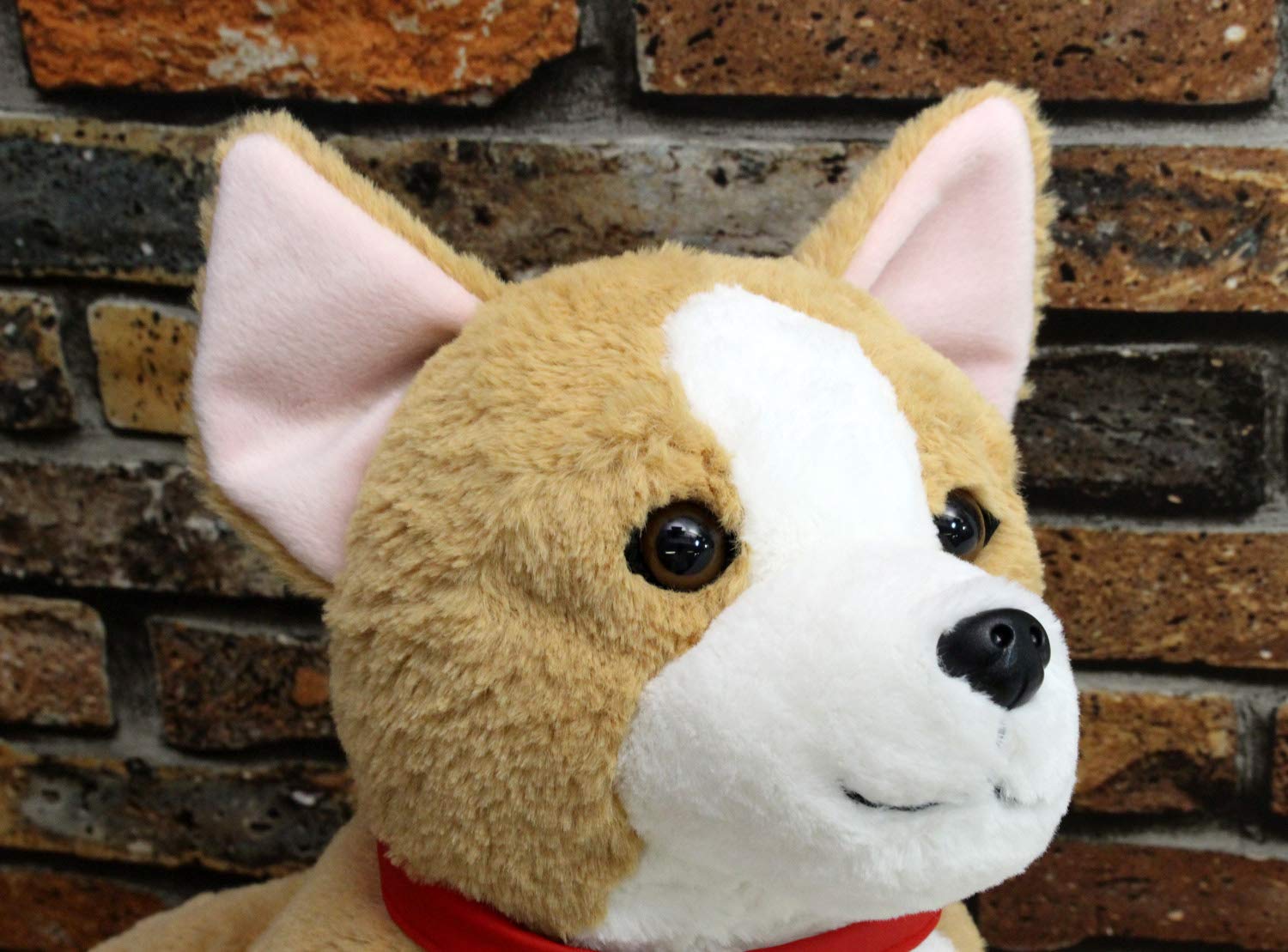 Amazon.co.jp: シナダ マイドッグ コーギー お手玉 40×80×50cm 犬