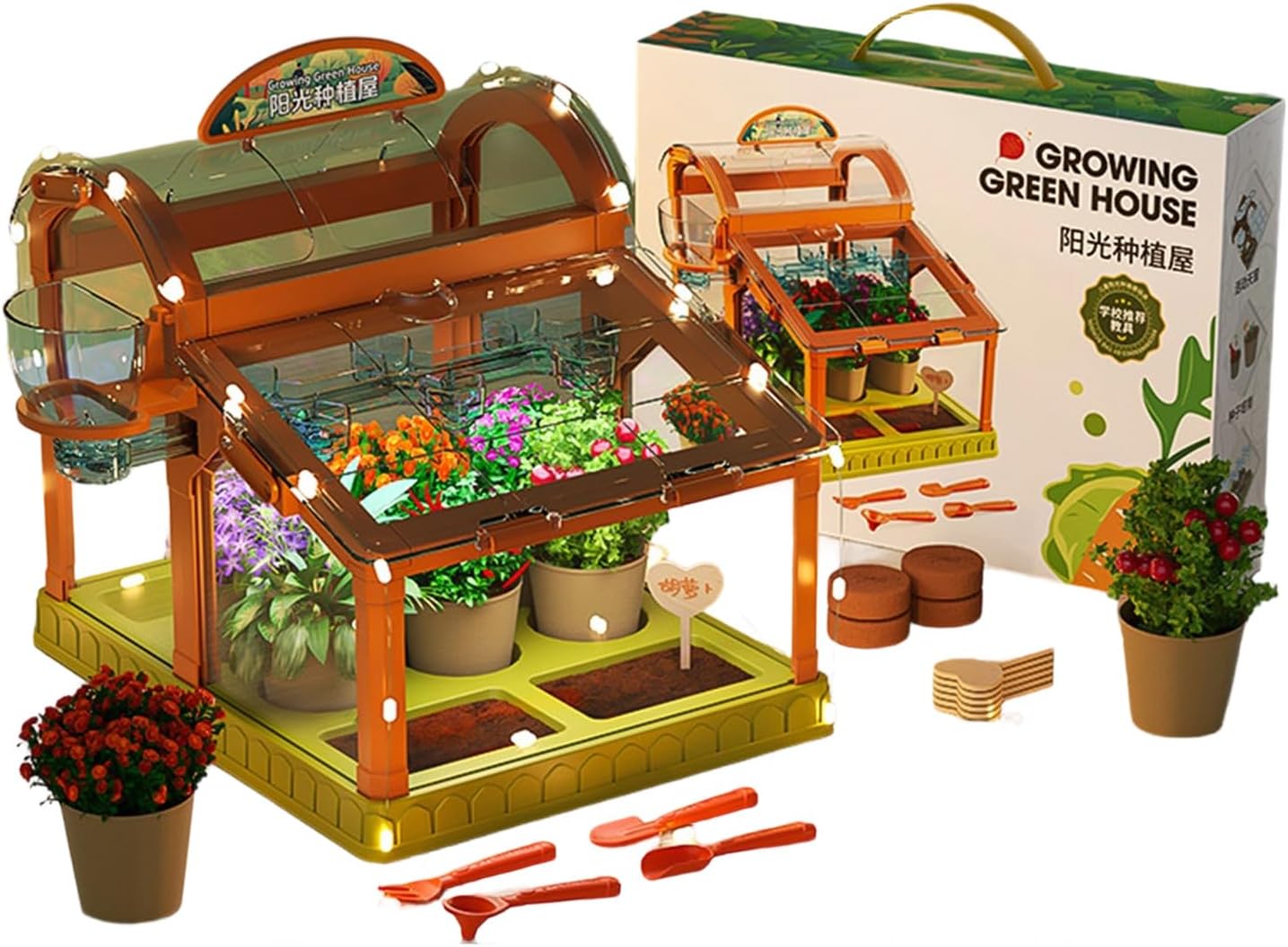 Educational Plant Growth Enclosure with LED Lighting Secure Acrylic Design for Juvenile Gardeners LED Enhanced Childrens Greenhouse Made with Acrylic for Indoor Plant Growing and Learning Activities