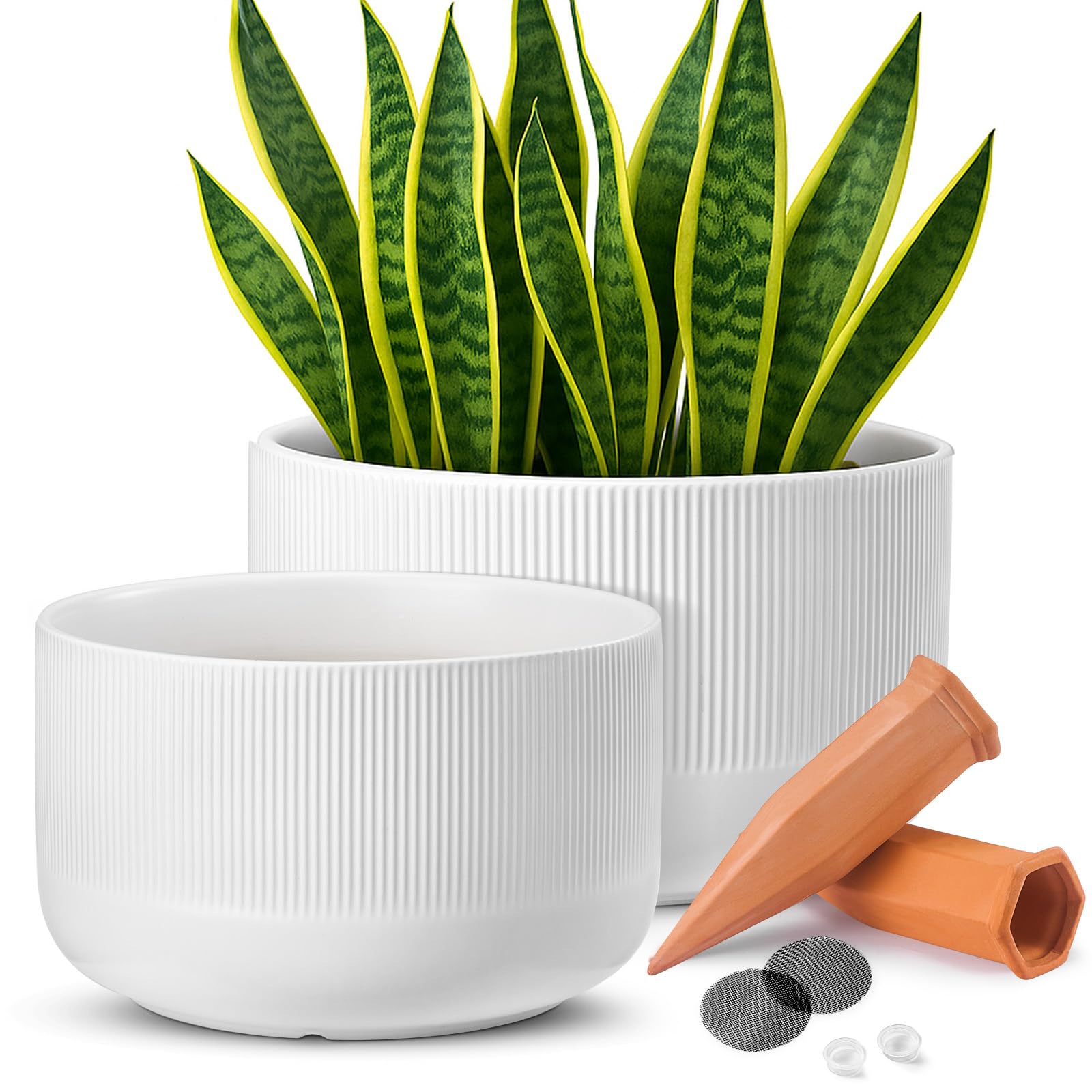 Jardin Tesoro Ceramic Planter Set