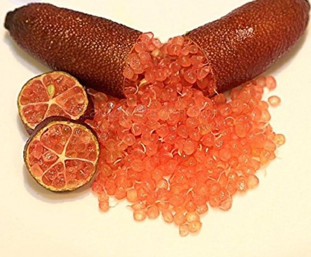 Seeds Market Rare Imported Orange Finger Lime Pomegrant Vegetable Seeds, 10,000 Seeds, Professional Packaging, Mandatory for Plant Garden
